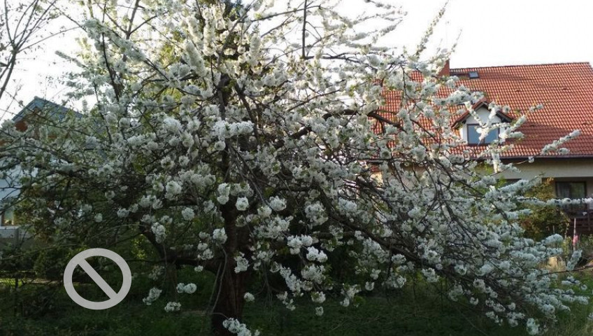 Działka Sprzedaż Szczecin Pogodno