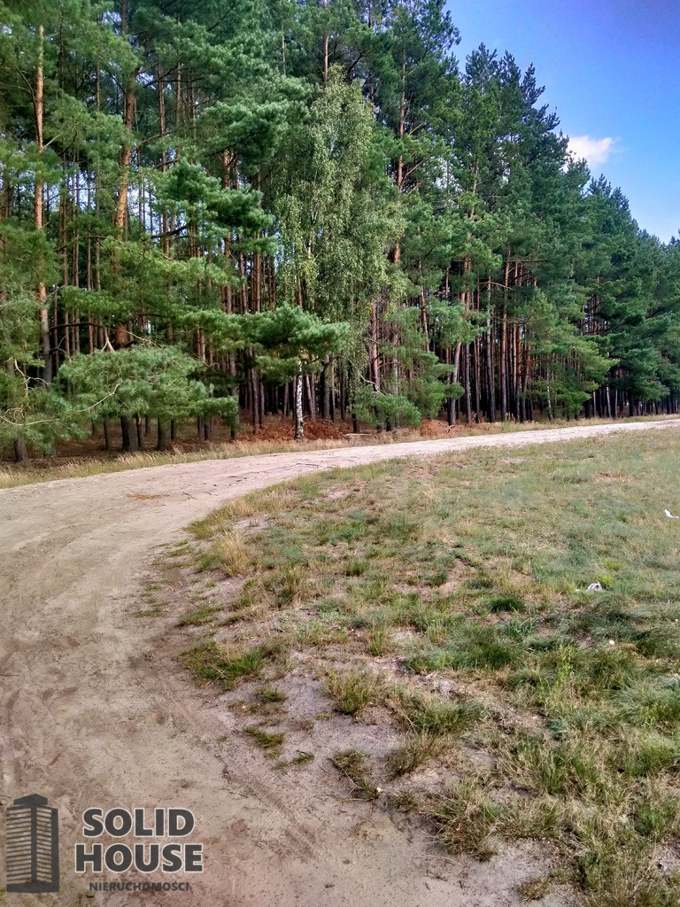 Działka Sprzedaż Tanowo Szczecińska