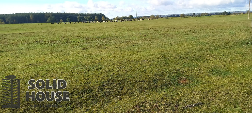 Działka Sprzedaż Borzysławiec