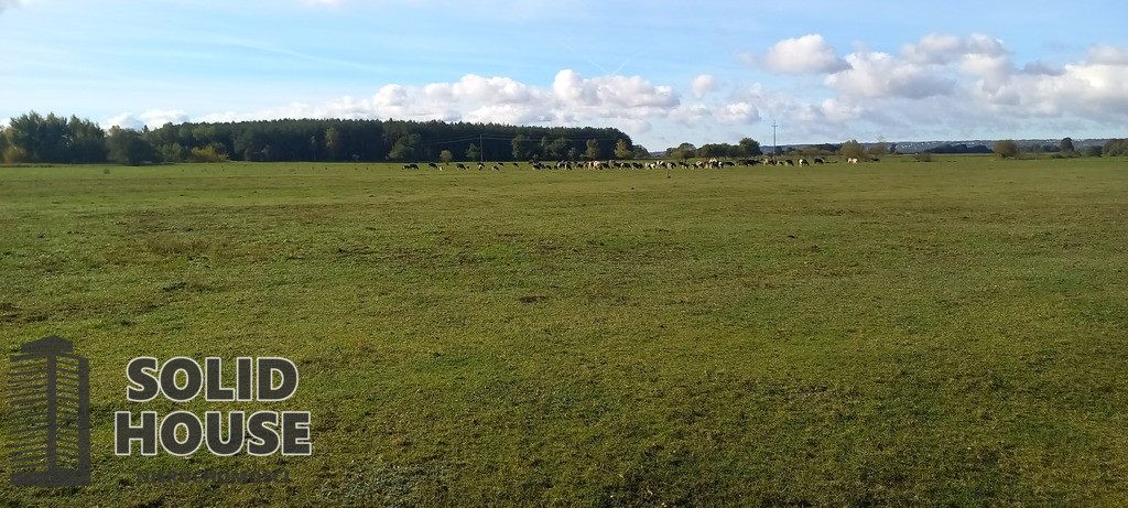 Działka Sprzedaż Borzysławiec