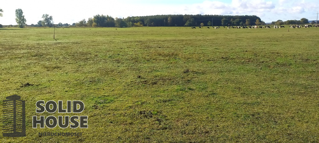 Działka Sprzedaż Borzysławiec