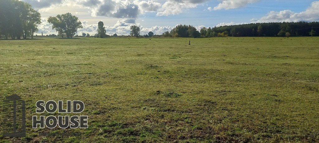 Działka Sprzedaż Borzysławiec
