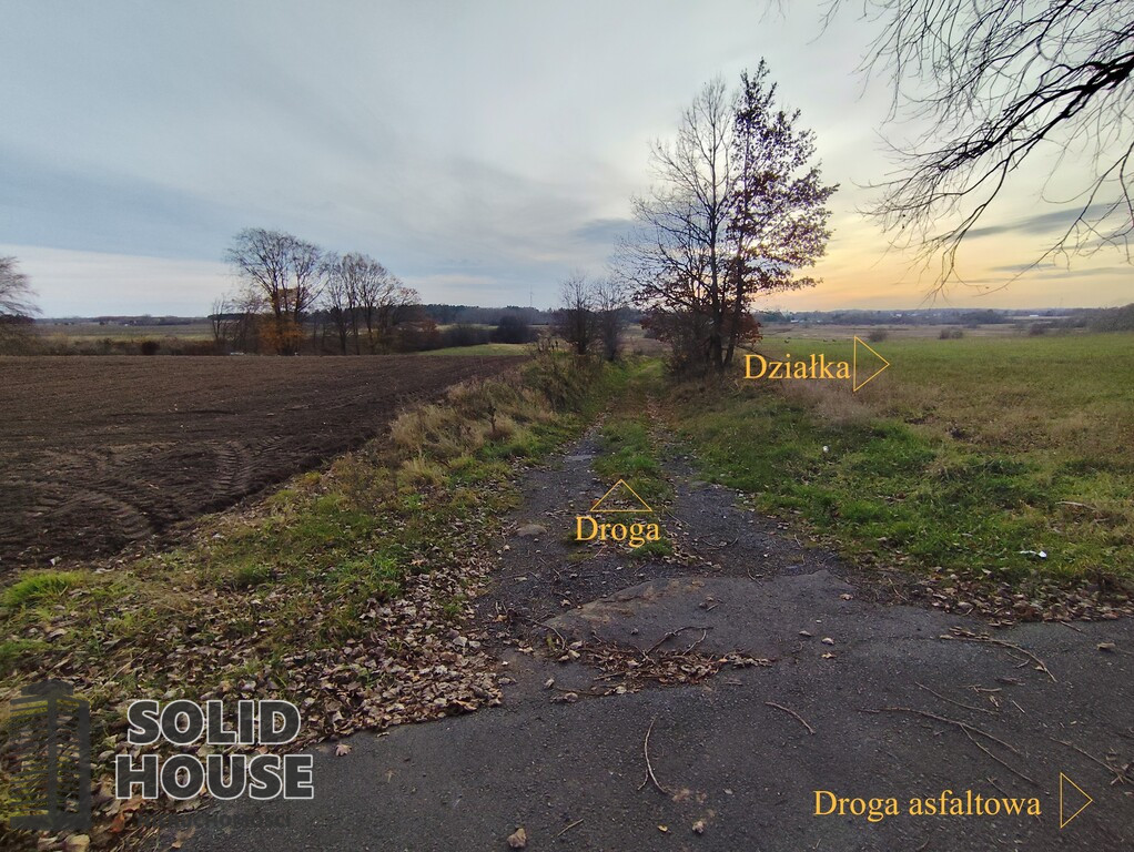 Działka Sprzedaż Wojcieszyn