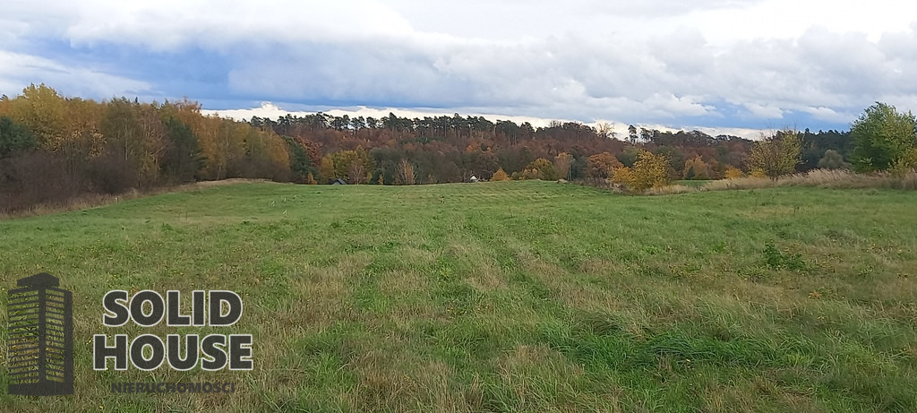Działka Sprzedaż Steklno