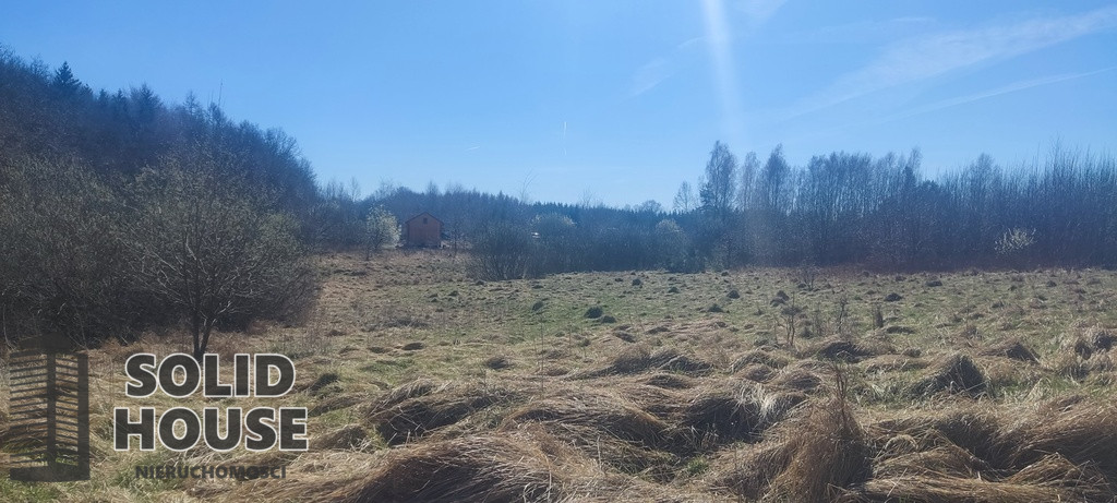 Działka Sprzedaż Linówko