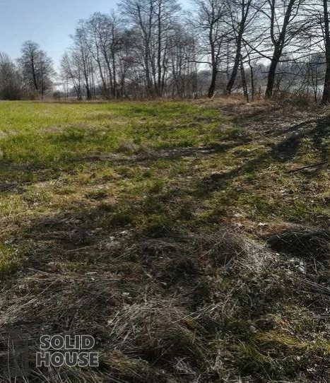 Działka Sprzedaż Kaszewo