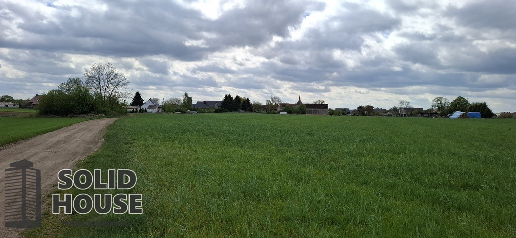 Działka Sprzedaż Bagna