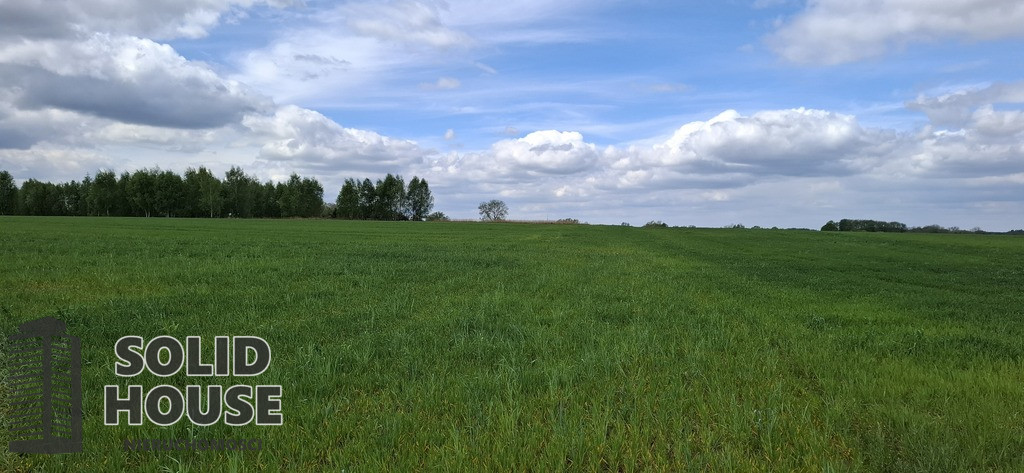 Działka Sprzedaż Bagna