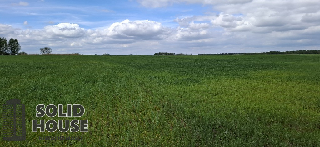 Działka Sprzedaż Bagna