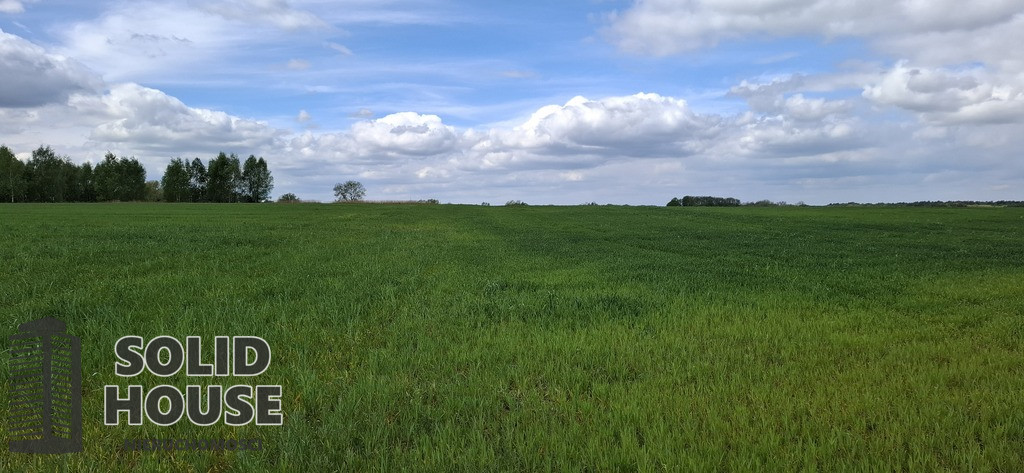 Działka Sprzedaż Bagna
