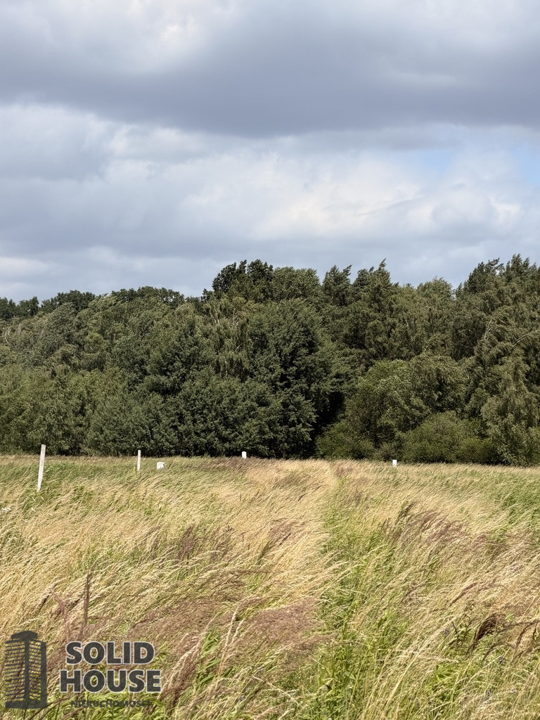 Działka Sprzedaż Niedźwiedź