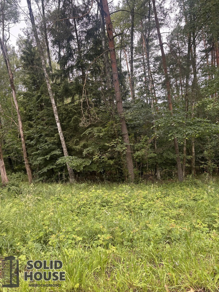 Działka Sprzedaż Piaseczno