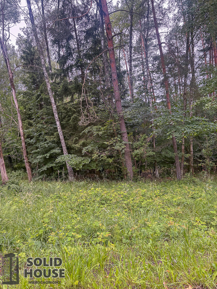 Działka Sprzedaż Piaseczno