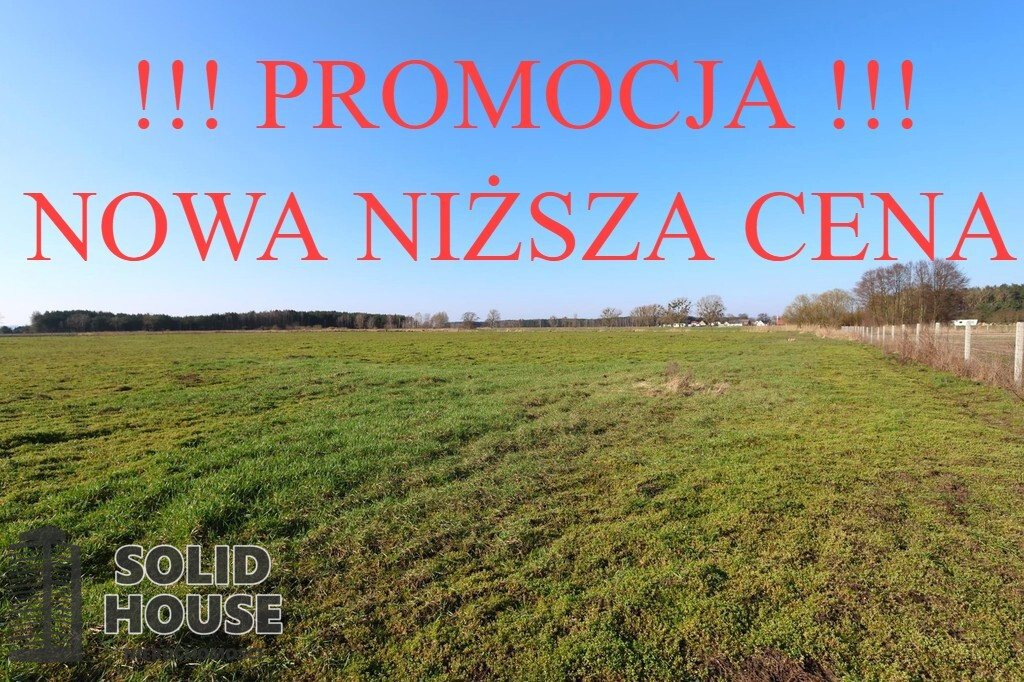 Działka Sprzedaż Lubczyna