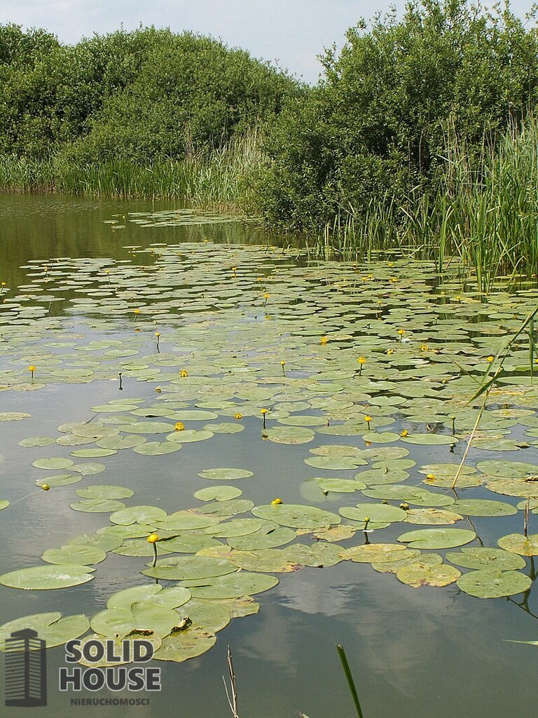 Działka Sprzedaż Giżyn