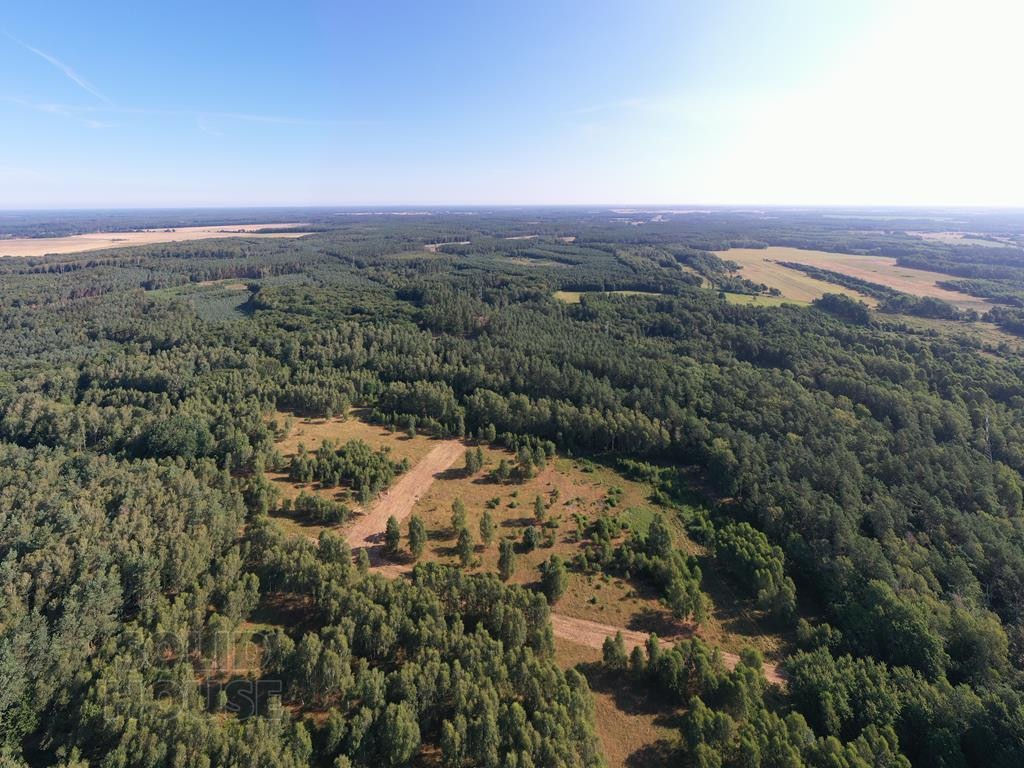 Działka Sprzedaż Osina