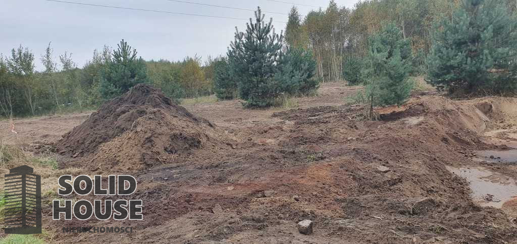 Działka Sprzedaż Borzyszewo