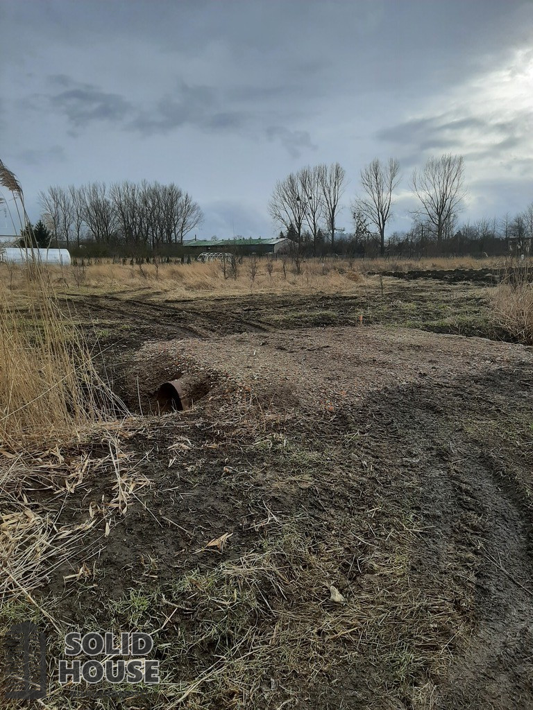 Działka Sprzedaż Pyrzyce