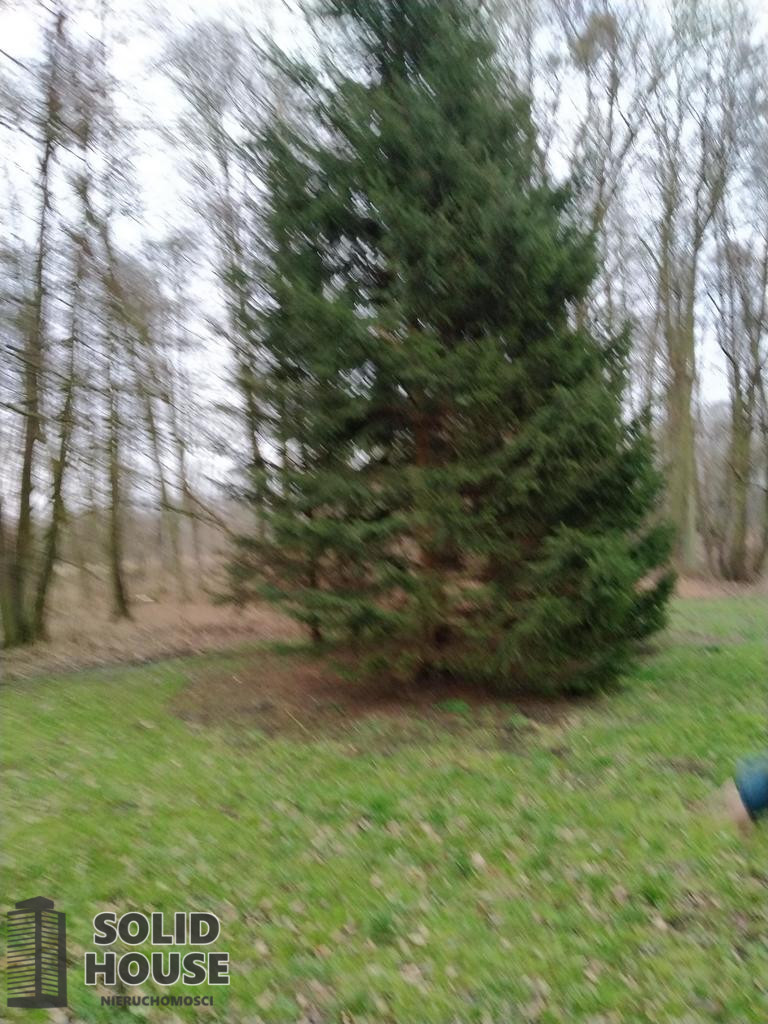 Działka Sprzedaż Rzędziny