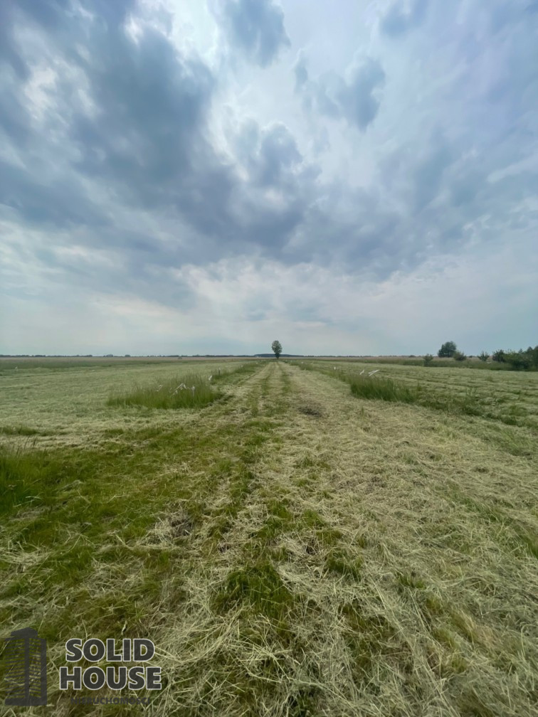 Działka Sprzedaż Wierzbno