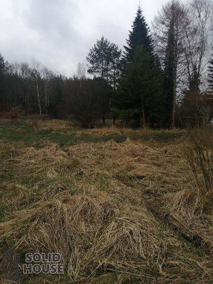 Działka Sprzedaż Stawno