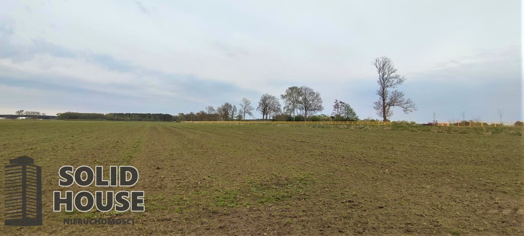 Działka Sprzedaż Lubczyna
