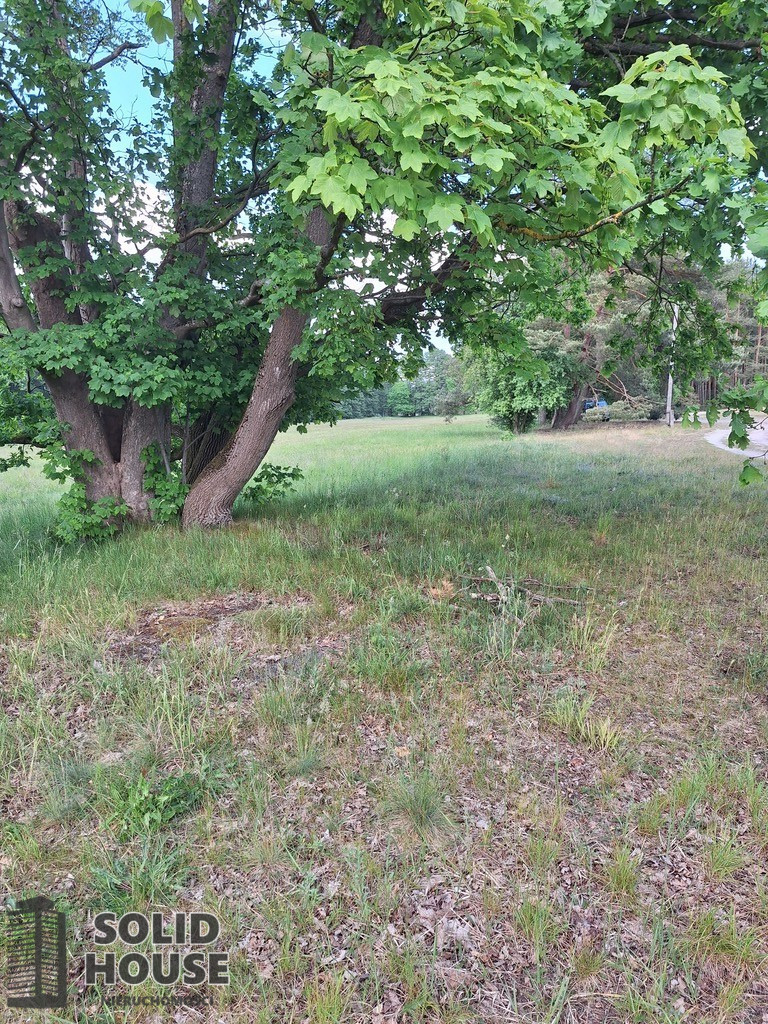 Działka Sprzedaż Tanowo Szczecińska
