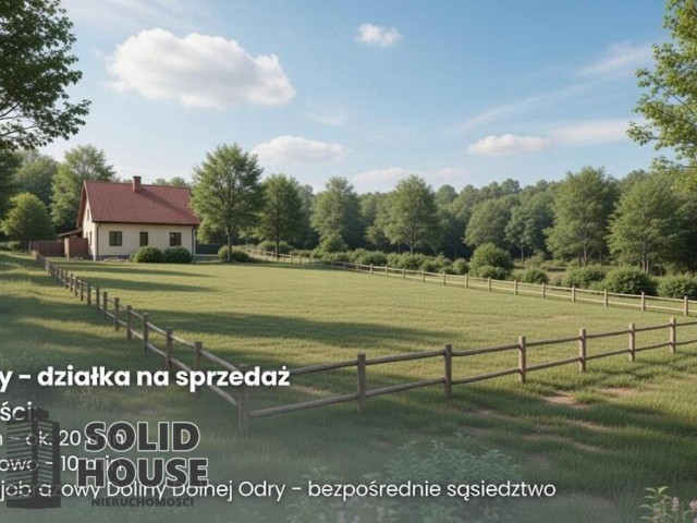Działka Sprzedaż Moczyły