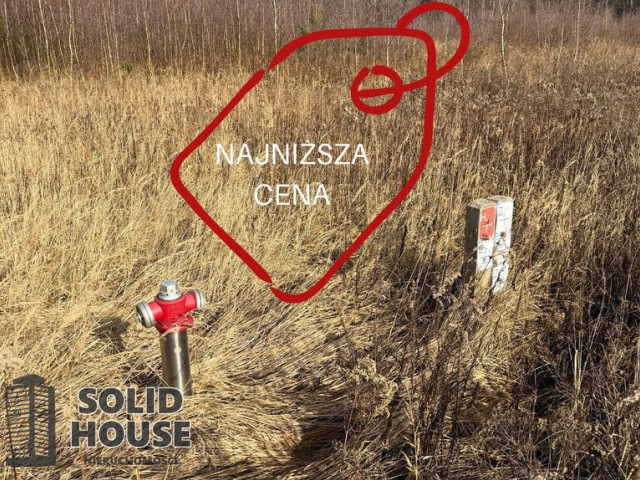 Działka Sprzedaż Żółwia Błoć
