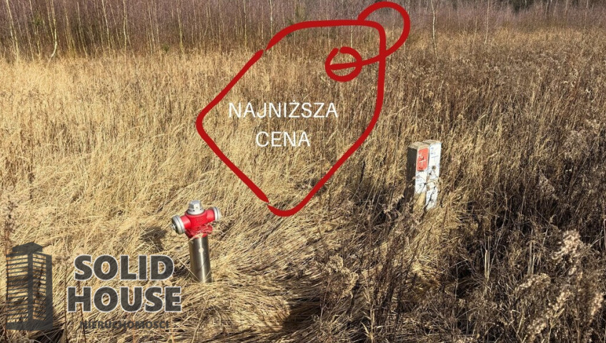 Działka Sprzedaż Żółwia Błoć