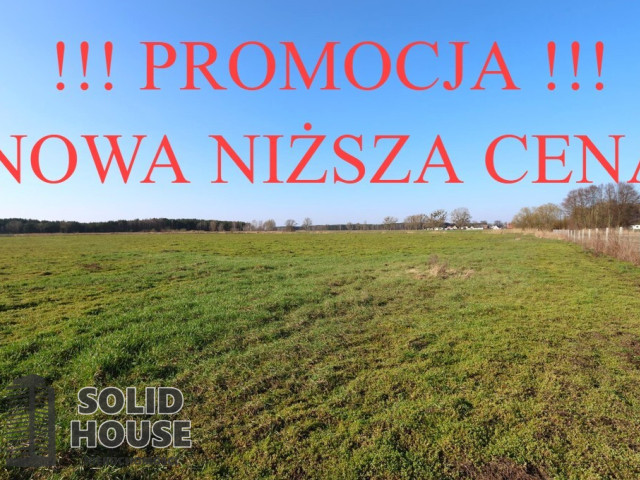Działka Sprzedaż Lubczyna