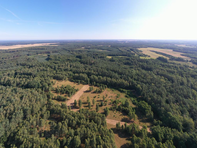 Działka Sprzedaż Osina